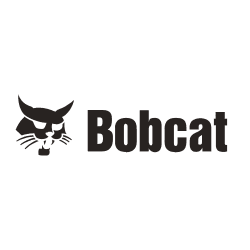 Bobcat
